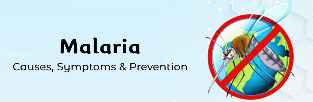 Malaria : Causes, Symptoms, Treatment & Prevention