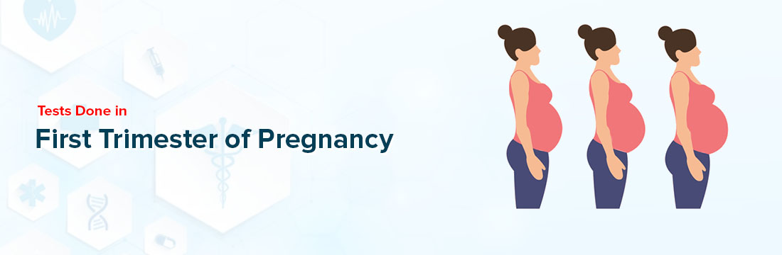 The First Trimester of Pregnancy