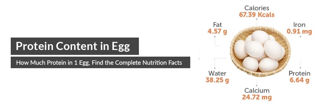 How Much Protein in 1 Egg