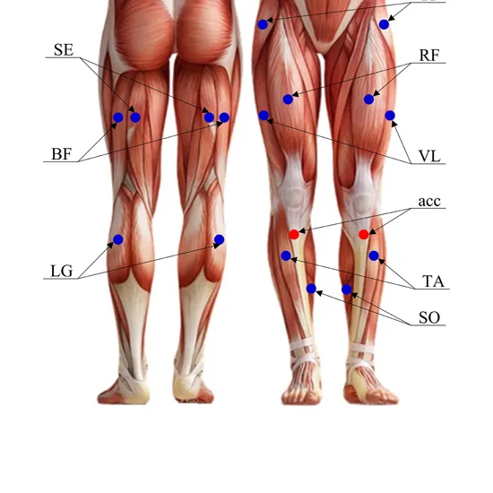 Lower Extremity Test