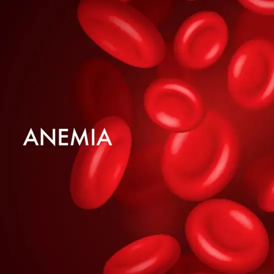 Book Anemia Panel 1 Test | Test Price In Delhi | Ganesh Diagnostic