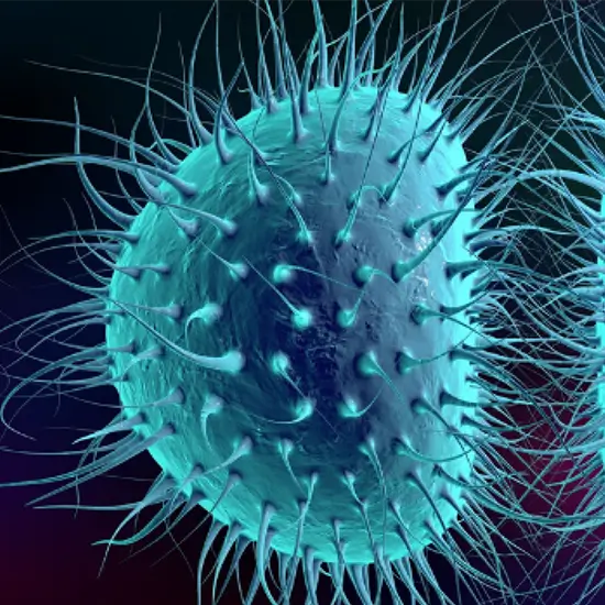 Chlamydia Trachomatis & Neisseria Gonorrhoea PCR Panel Qualitative Test ...