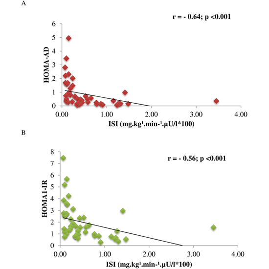 HOMA-IR: A Test of Insulin Resistance + Ways to Decrease It