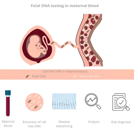 Rh Typing On Fetal DNA in Maternal Blood Test - Ganesh Diagnostic