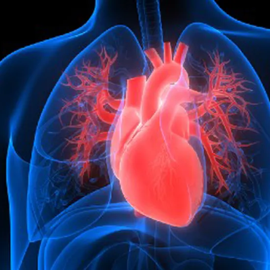 CT Cardiac Angiography